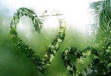 竞彩篮球直播比分直播哪里看？如何用它优化投注策略？